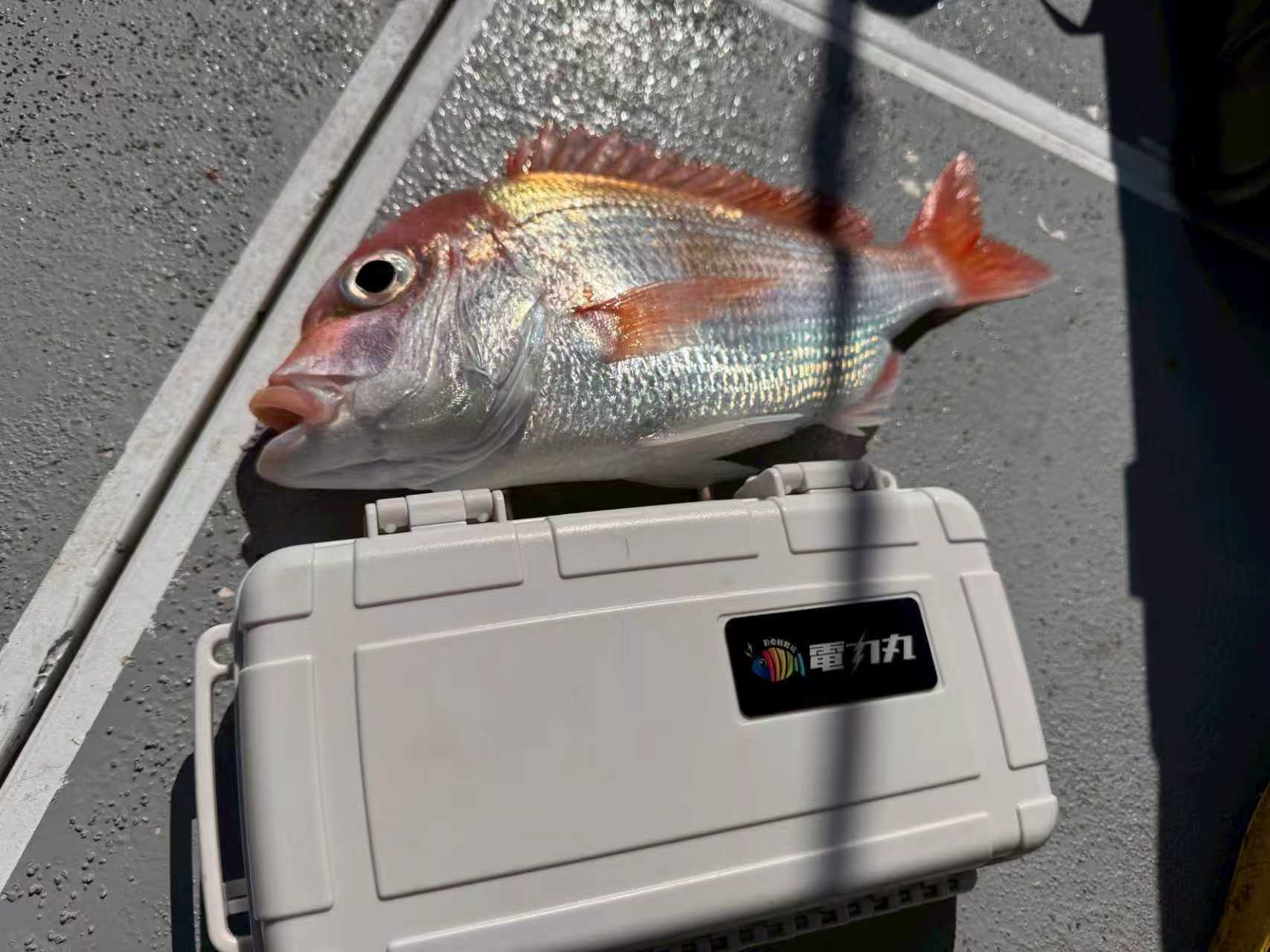 White battery case used onboard next to a fresh catch